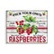 Stupell Industries Pick Your Own Raspberries Wall Plaque Art Design by Creatif Belle